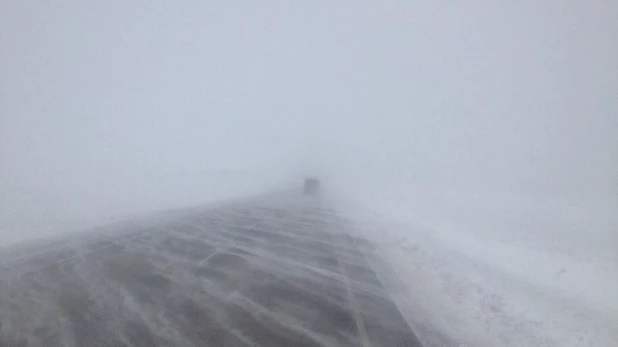 Метель в Шипуновском районе.