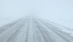 Метель на трассе "Барнаул - Рубцовск".