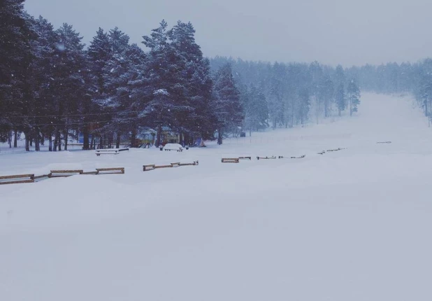 Алтай после бурана.