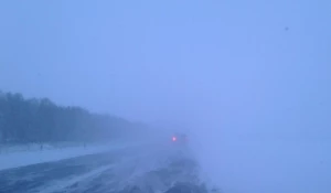 Трасса "Барнаул - Павловск".