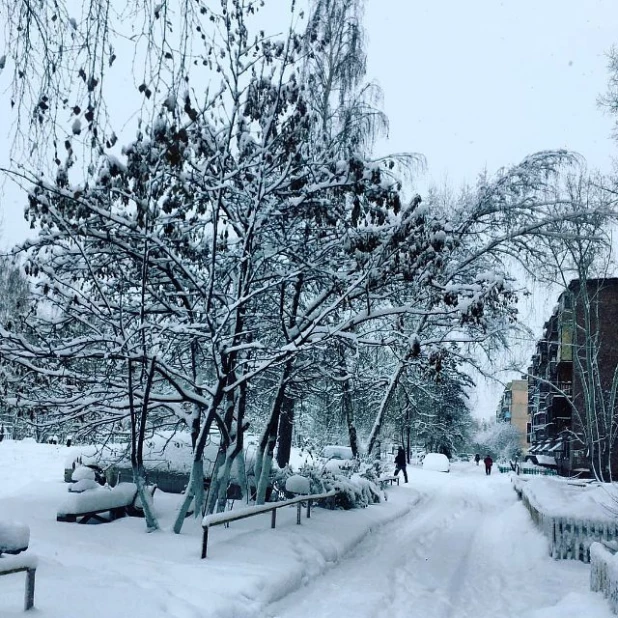 Заснеженный Бийск.