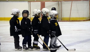 Играем в хоккей.