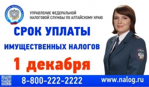 Налоговые инспекции края будут работать в последние субботы ноября