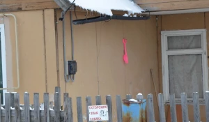 Ни злые собаки, ни несговорчивые потребители не помешают энергетикам выполнять их работу.