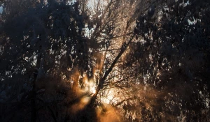 Морозы. Снег. Зима.