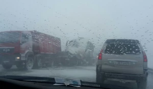 ДТП в 15 км от Бийска. 24 ноября 2016 года.