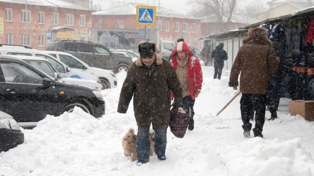 Снег и метель в Барнауле.