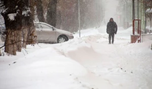 Снег и метель в Барнауле.