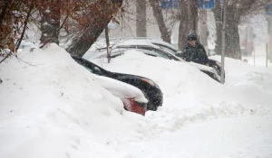 Снег и метель в Барнауле.