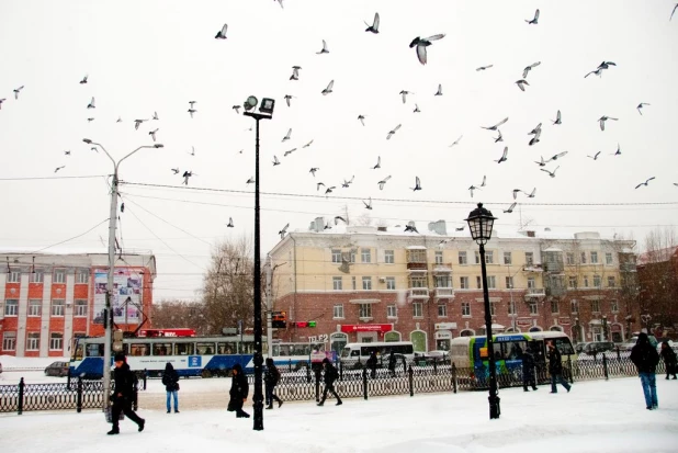 Снег и метель в Барнауле.