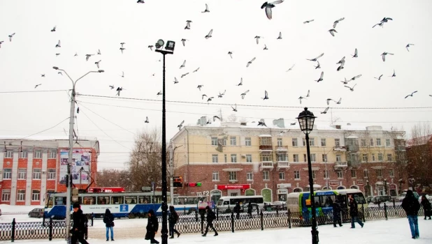 Снег и метель в Барнауле.