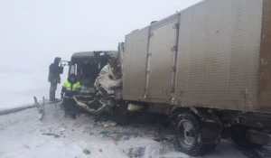 Массовое ДТП под Бийском.