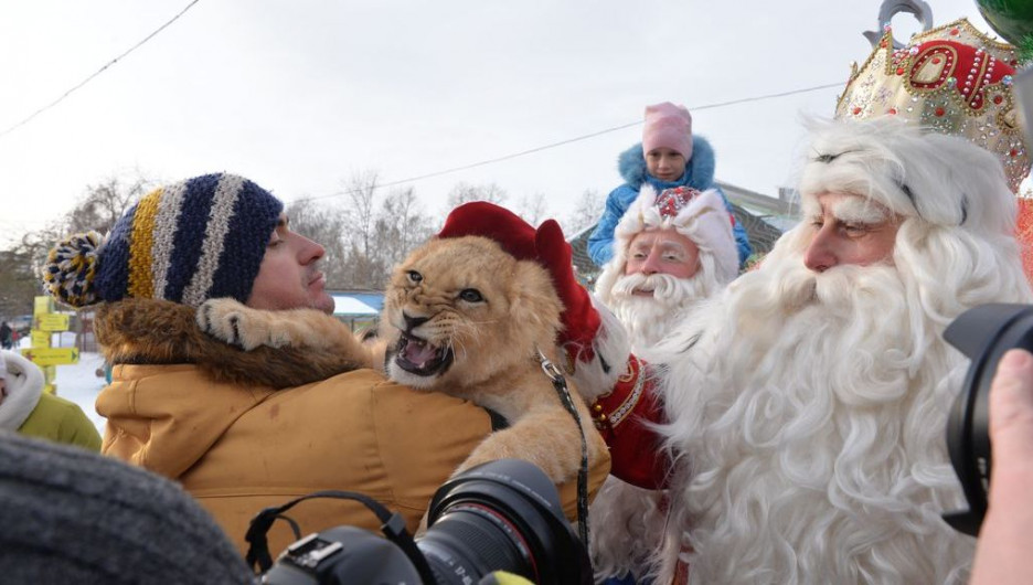 Дед Мороз из Устюга приехал в гости к алтайскому Деду Морозу. 