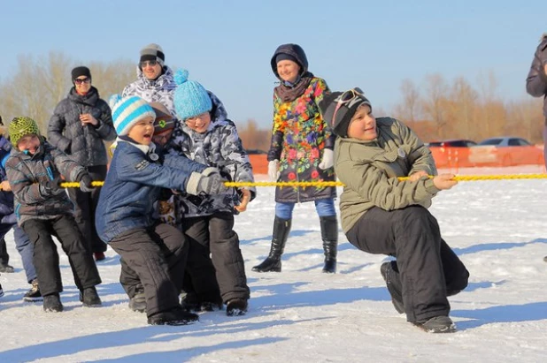 Гонка на собачьих упряжках.