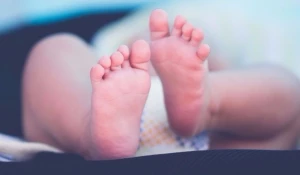 Барнаульский центр репродуктивной медицины объединил профессионалов.