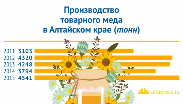 Инфографика. Алтайский мёд.