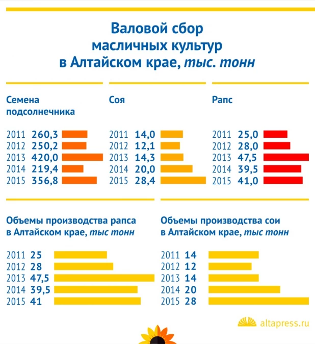 Инфографика. Переработка масличных культур в Алтайском крае.