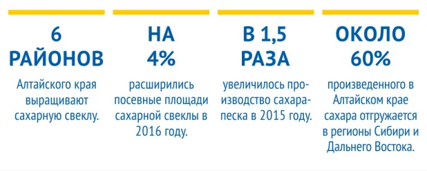 Инфографика. Производство сахара на Алтае.