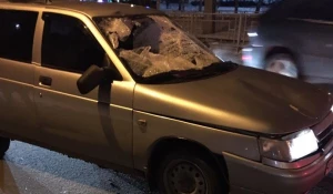 ДТП с пешеходом на Антона Петрова.