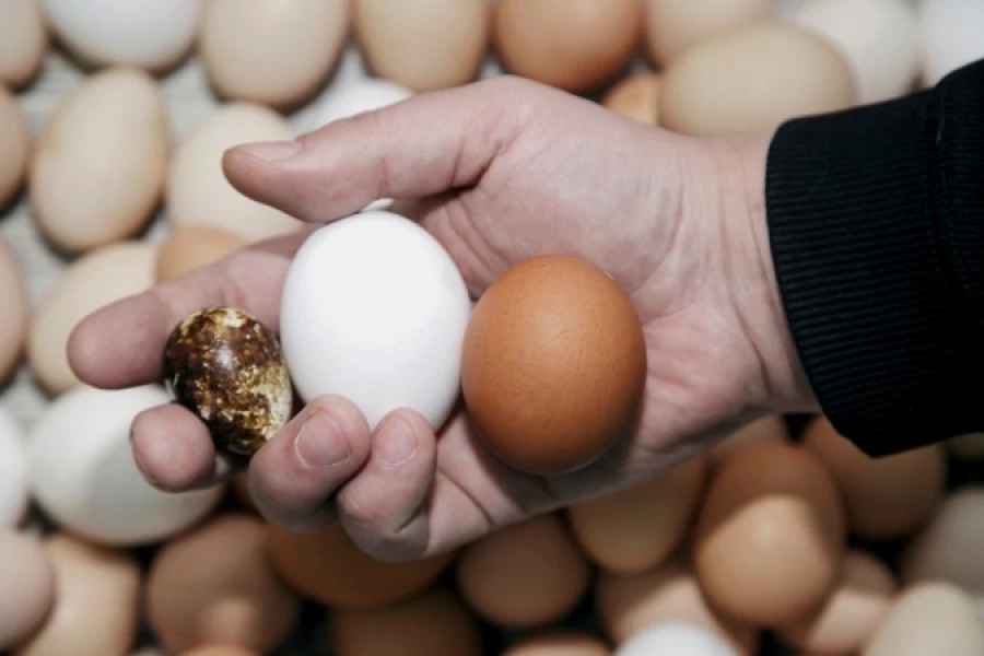 Фермерские продукты.