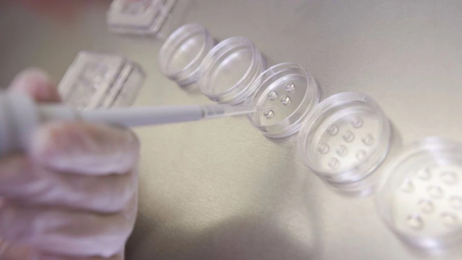 Эксперты рассказали, как рождается счастливое будущее.