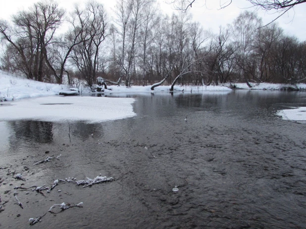 Река Кокша.