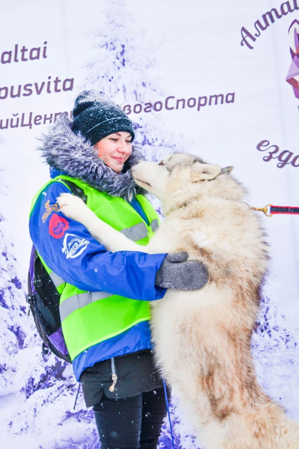 Гонки на собачьих упряжках.