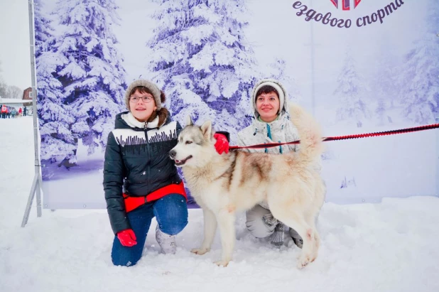 Гонки на собачьих упряжках.