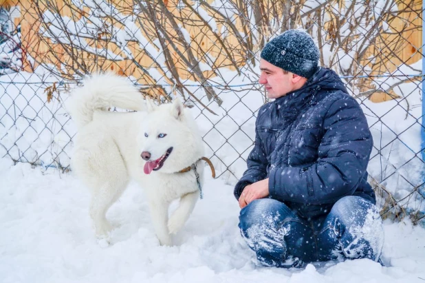 Гонки на собачьих упряжках.