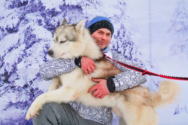 Гонки на собачьих упряжках.