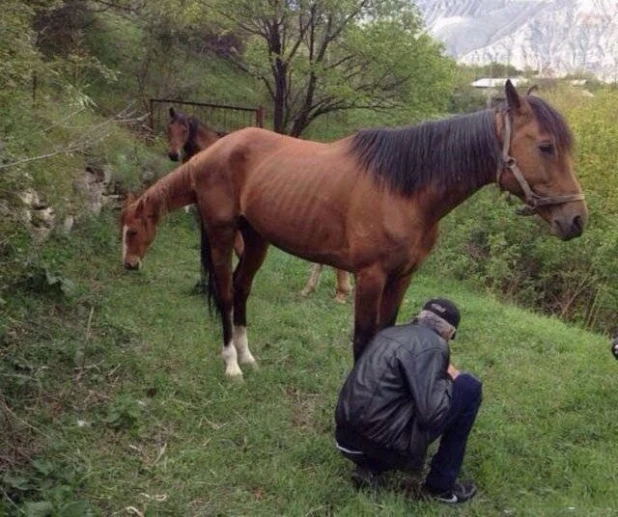 Иллюзия фотографии.