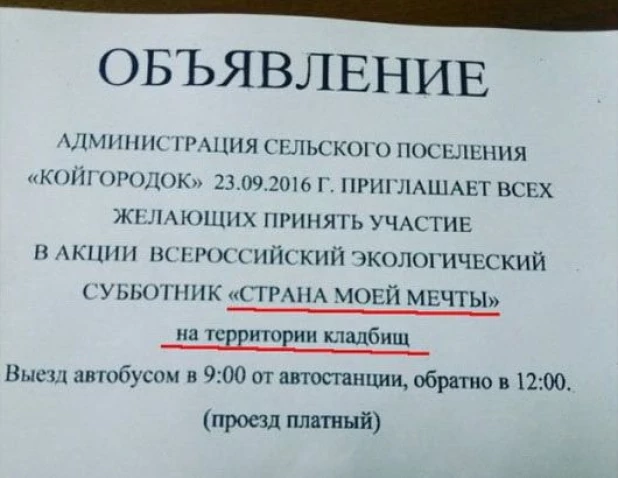 Смешные надписи.