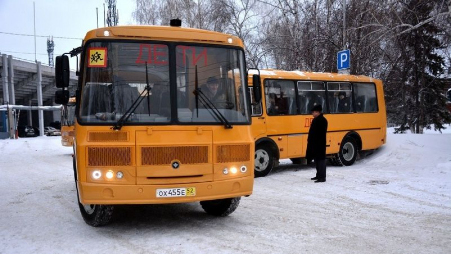 Школьные автобусы.
