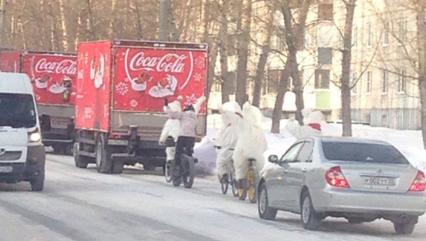 Coca-Cola и медведи в Барнауле.