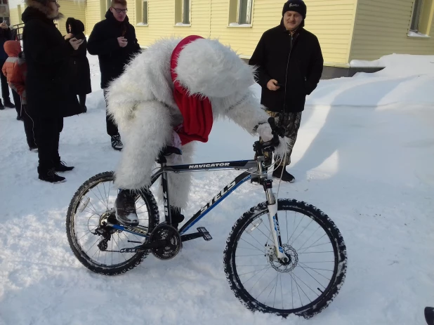 Coca-Cola и медведи в Барнауле.