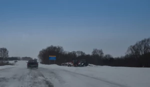 Дорога Чарышское - Алейск - Барнаул 3 января 2017 года.