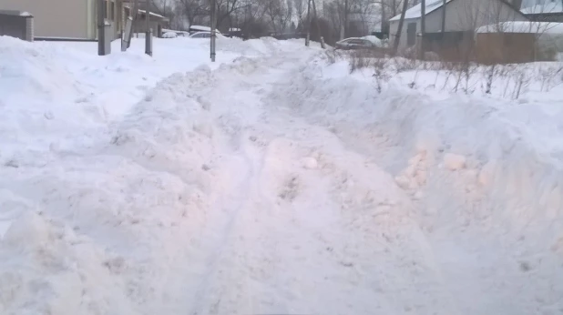 Нечищеная дорога в Борзовой Заимке.