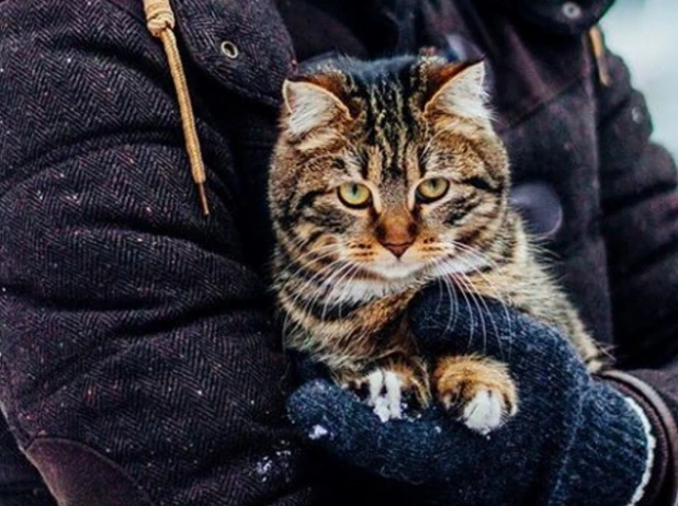 Жители Алтая на новогодних каникулах.