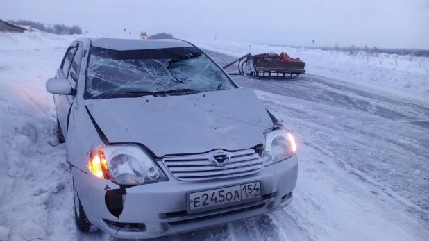 Toyota Сorolla сбила коня в Черепановском районе.