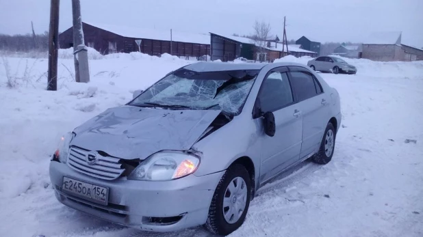 Toyota Сorolla сбила коня в Черепановском районе.