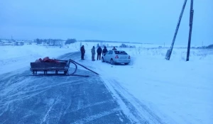 Toyota Сorolla сбила коня в Черепановском районе.