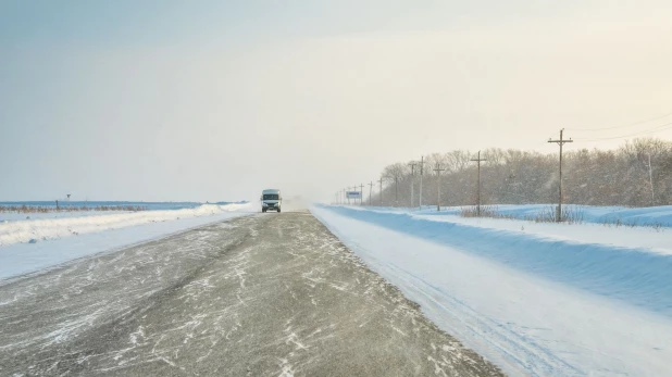 Зима. Дорога. Поземка.