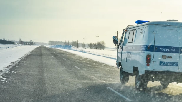 Зима. Дорога. Поземка. Полиция.