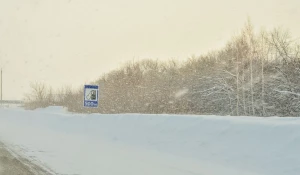 Зима. Дорога. Поземка. Идет снег. Бензин.