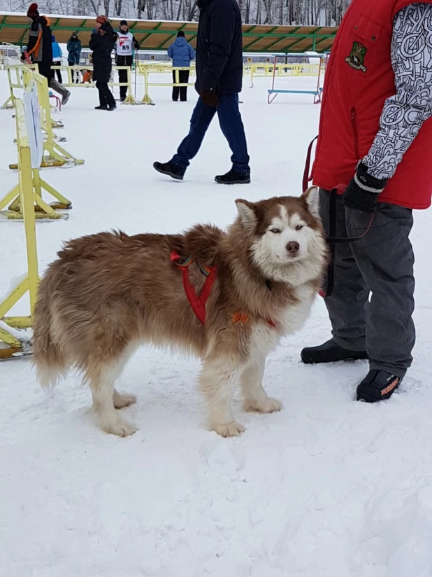 "Рождественский заезд - 2017".