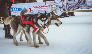 "Рождественский заезд - 2017".