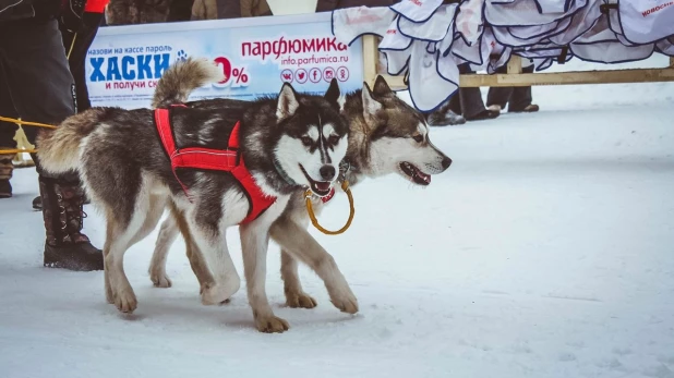 "Рождественский заезд - 2017".