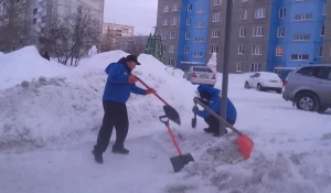 Активисты ЛДПР очищают Барнаул от снега.