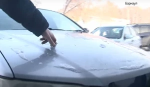 Барнаульский либерал-геймер разгромил машины соседей