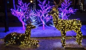 "Сказочные зимние ночи" в барнаульском зоопарке.